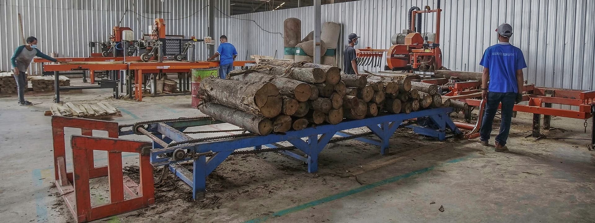 Produkcja drzwi z drewna egzotycznego z trakiem Wood-Mizer LT40 w Indonezji