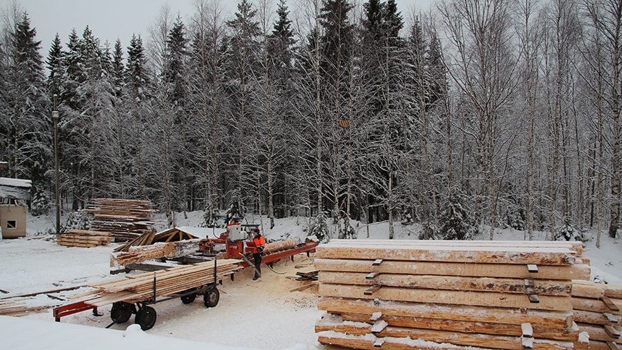 First the Heikkilä brothers chose the perfect trees to cut them into the cants of 180 mm